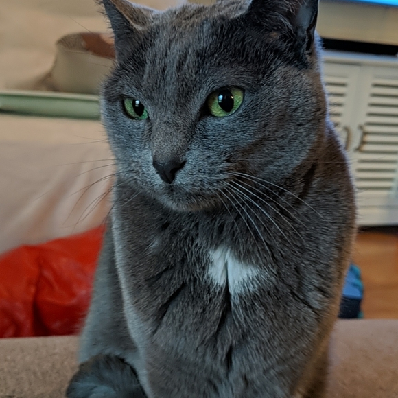 Meet your Posher, Jordan - Picture 1 of 1